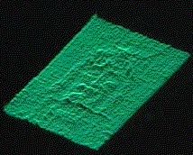 VP8 Shroud of Turin animated 3D face